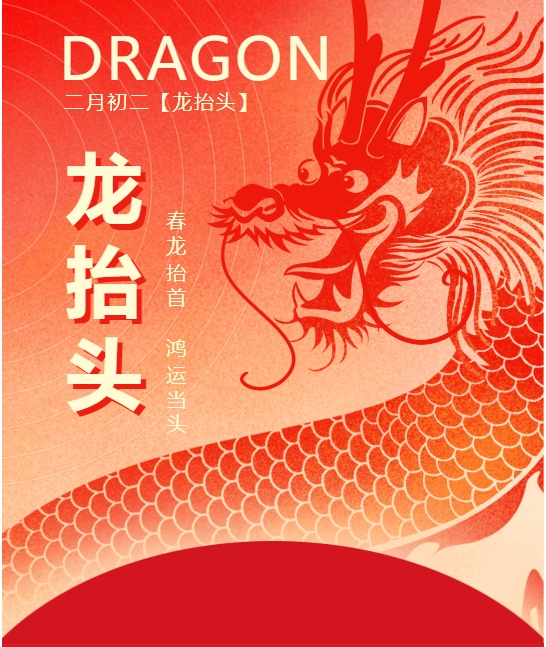 二月二龍?zhí)ь^，春龍振翅鴻運啟 —— 佳木斯網(wǎng)云信息科技有限公司與您共迎新春盛景